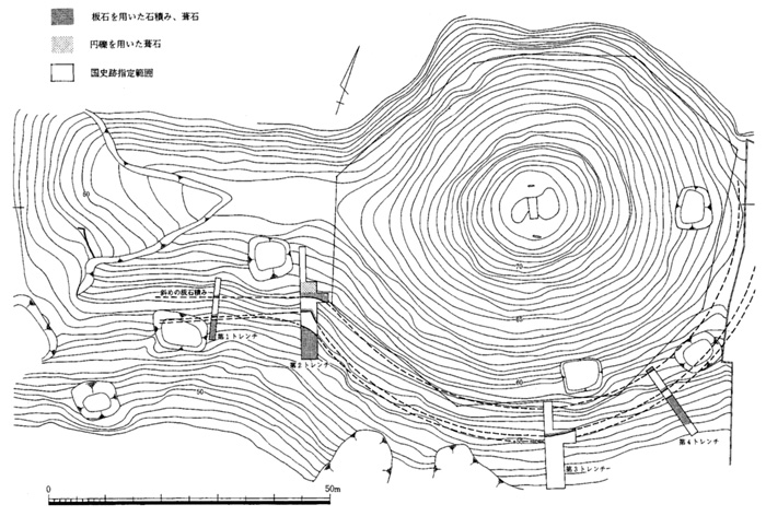 松岳山古墳測量図